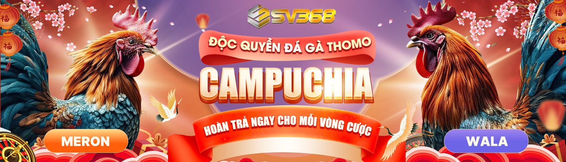 đá gà thomo sv368